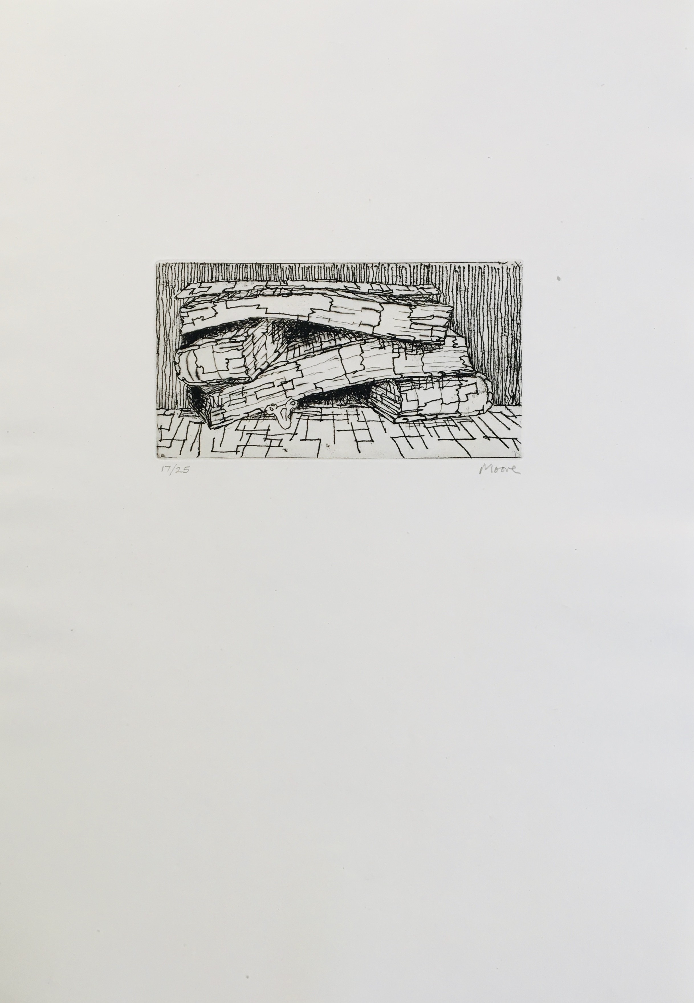 Henry Moore, Le livre des livres Henry Moore, Le livre des livres