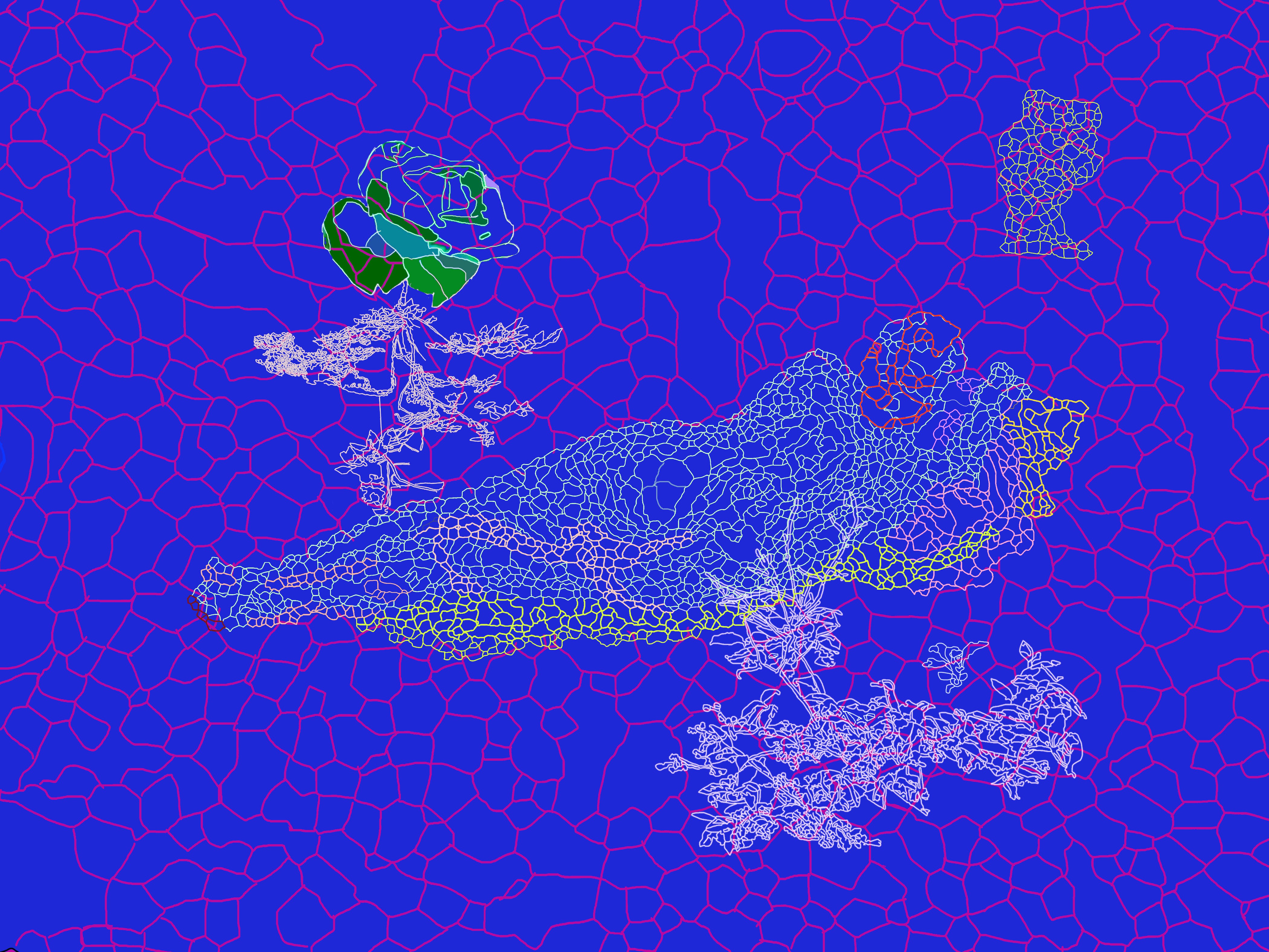 Anya Rubin, Interwoven Anya Rubin, Interwoven