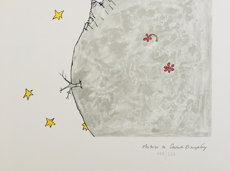 ▷ Le Petit Prince - Ensemble de 12 lithographies by Antoine de  Saint-Exupéry, 2012, Print