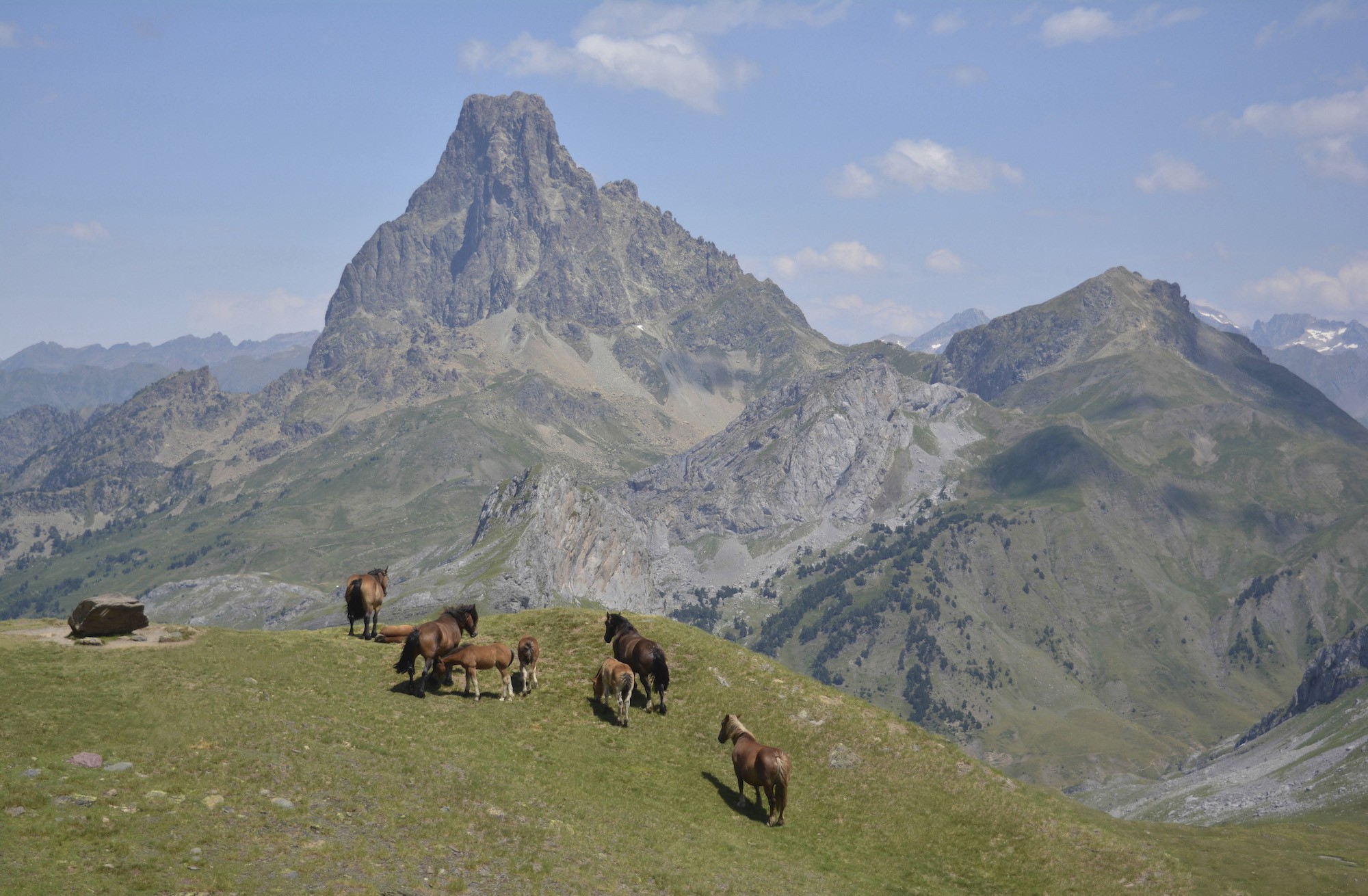 Mario Pascual Cámara, Horses in the mountain Mario Pascual Cámara, Horses in the mountain