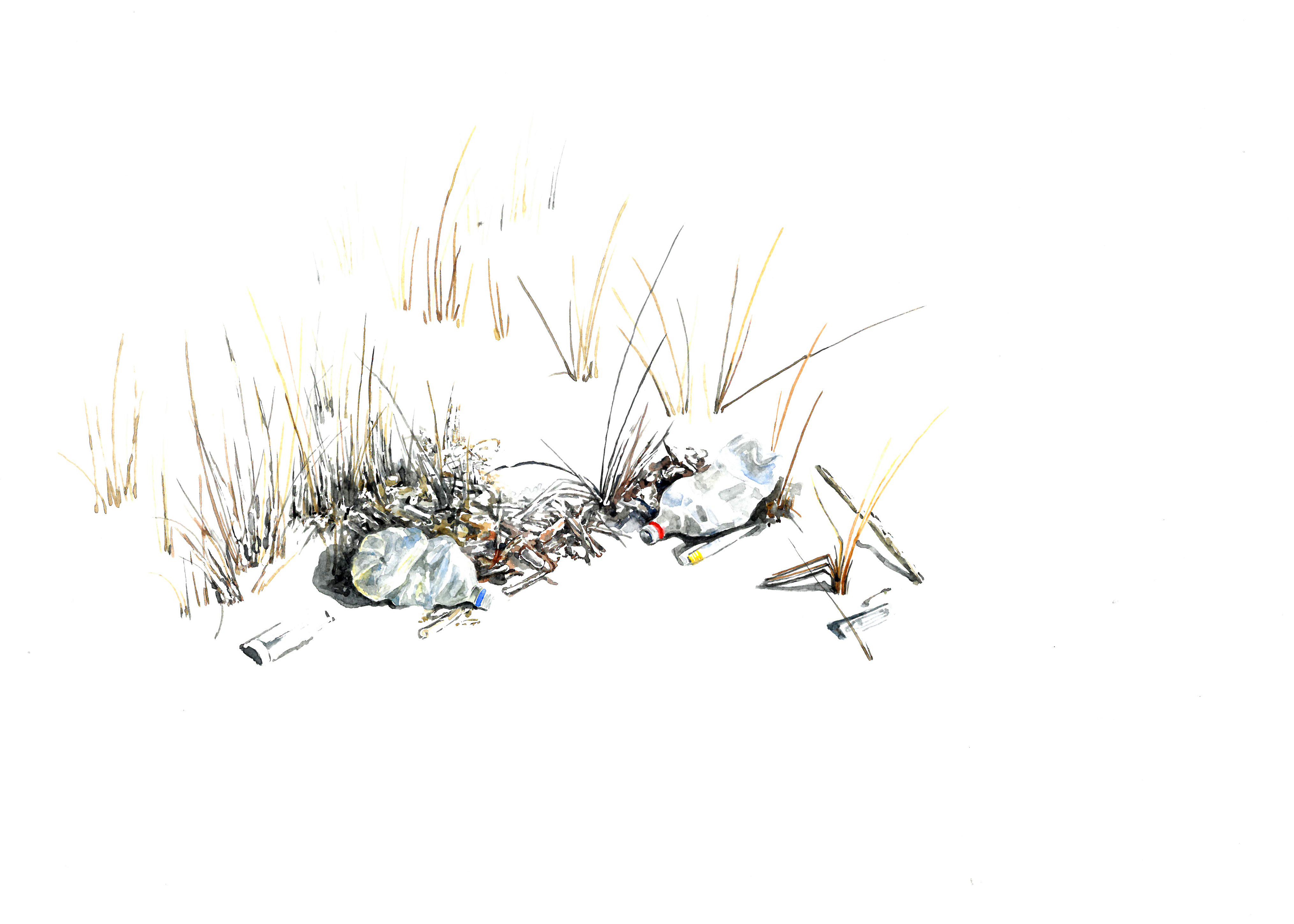 Stela Vasileva, Untitled 5 (Nature Takes Back series) Stela Vasileva, Untitled 5 (Nature Takes Back series)