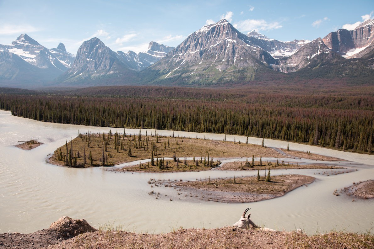 David Tesinsky, Alberta Beauty #2, Canada David Tesinsky, Alberta Beauty #2, Canada
