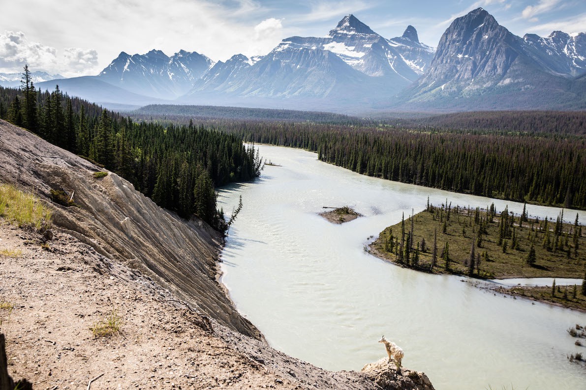 David Tesinsky, Alberta Beauty, Canada David Tesinsky, Alberta Beauty, Canada