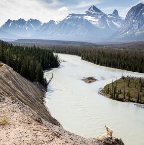 Fotografien, Alberta Beauty, Canada, David Tesinsky
