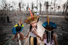 Photographie, Indigenous Victims of wilful fires in Amazonia, David Tesinsky