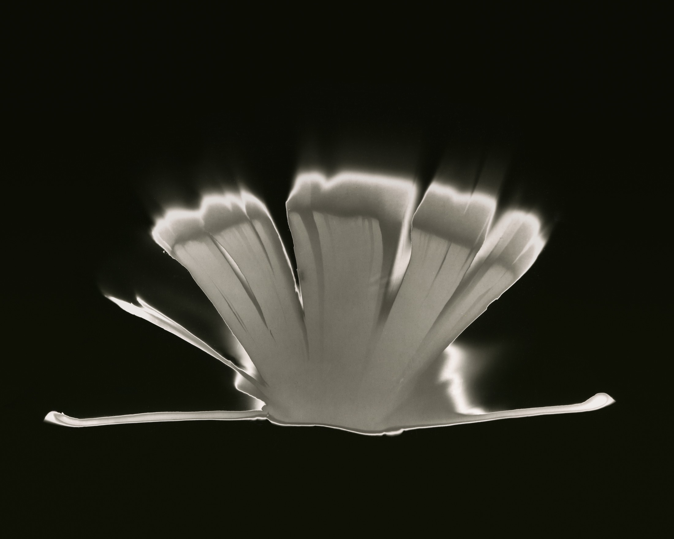 Shine Huang, Book of Faith, From series “Carry the Ocean” Shine Huang, Book of Faith, From series “Carry the Ocean”