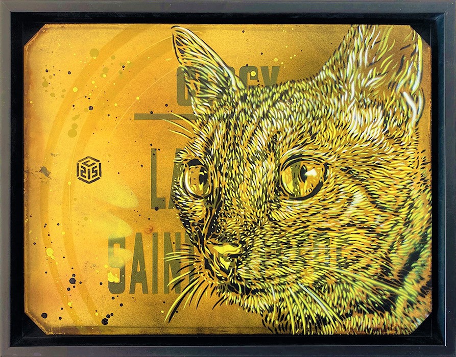 C215, Meow RATP C215, Meow RATP