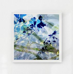 Photography, La canopée bleue, Nicolas Le Beuan Bénic