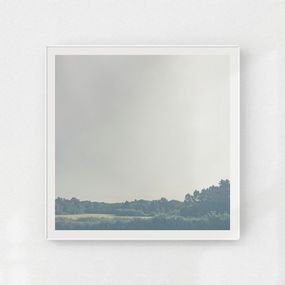 Photography, La forêt au loin, Nicolas Le Beuan Bénic