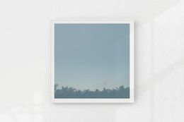 Photographie, La forêt d'ailleurs, Nicolas Le Beuan Bénic