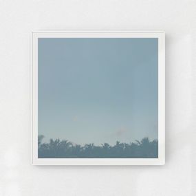 Photography, La forêt d'ailleurs, Nicolas Le Beuan Bénic