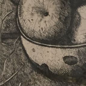 Aimé Barraud, Les pommes Aimé Barraud, Les pommes