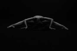 Photography, Spider, Majo Jurcik