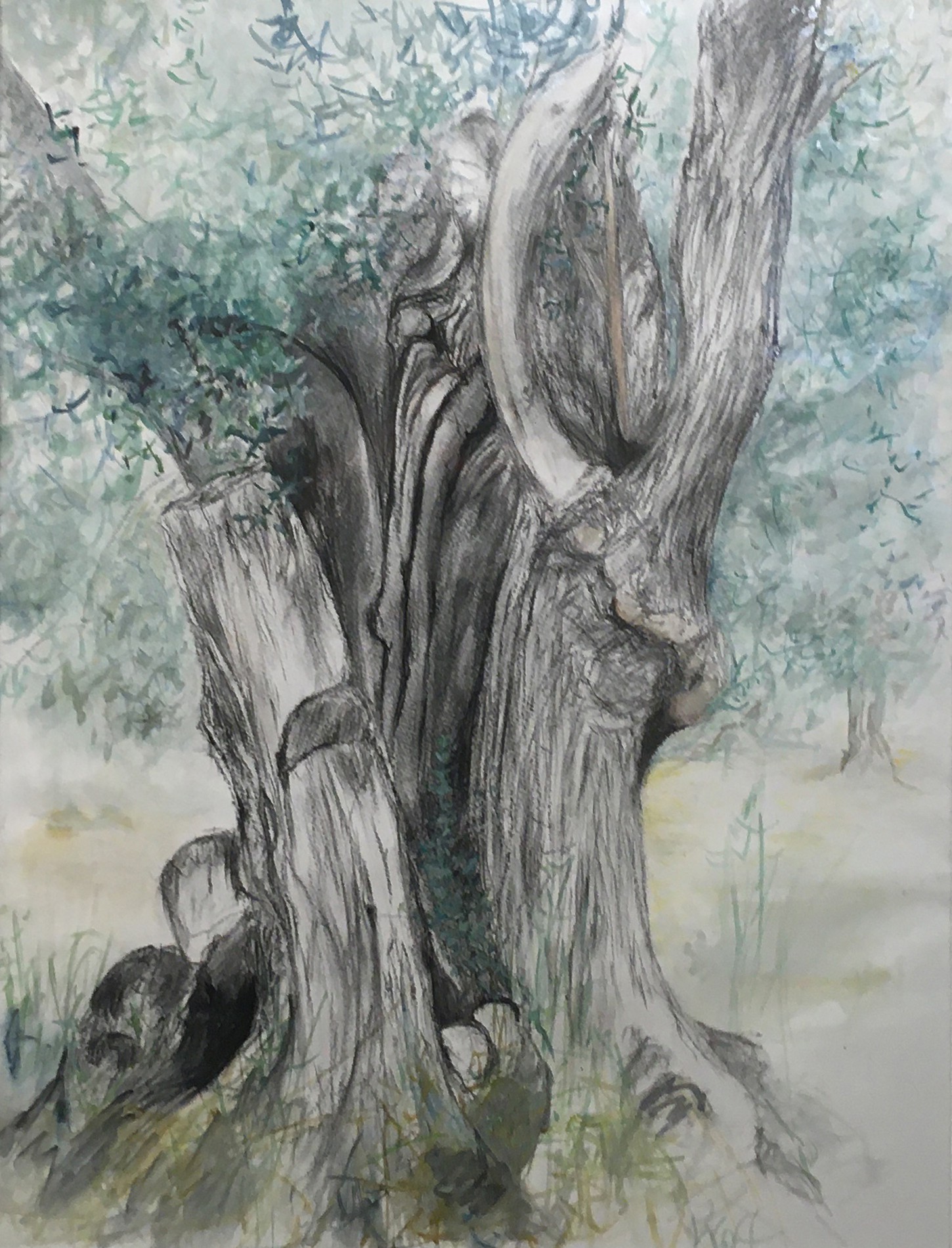 Kristina Viera Wolf, Olivier - Lesbos IV Kristina Viera Wolf, Olivier - Lesbos IV