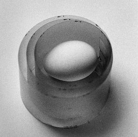 Photography, Egg Study 6, Shine Huang