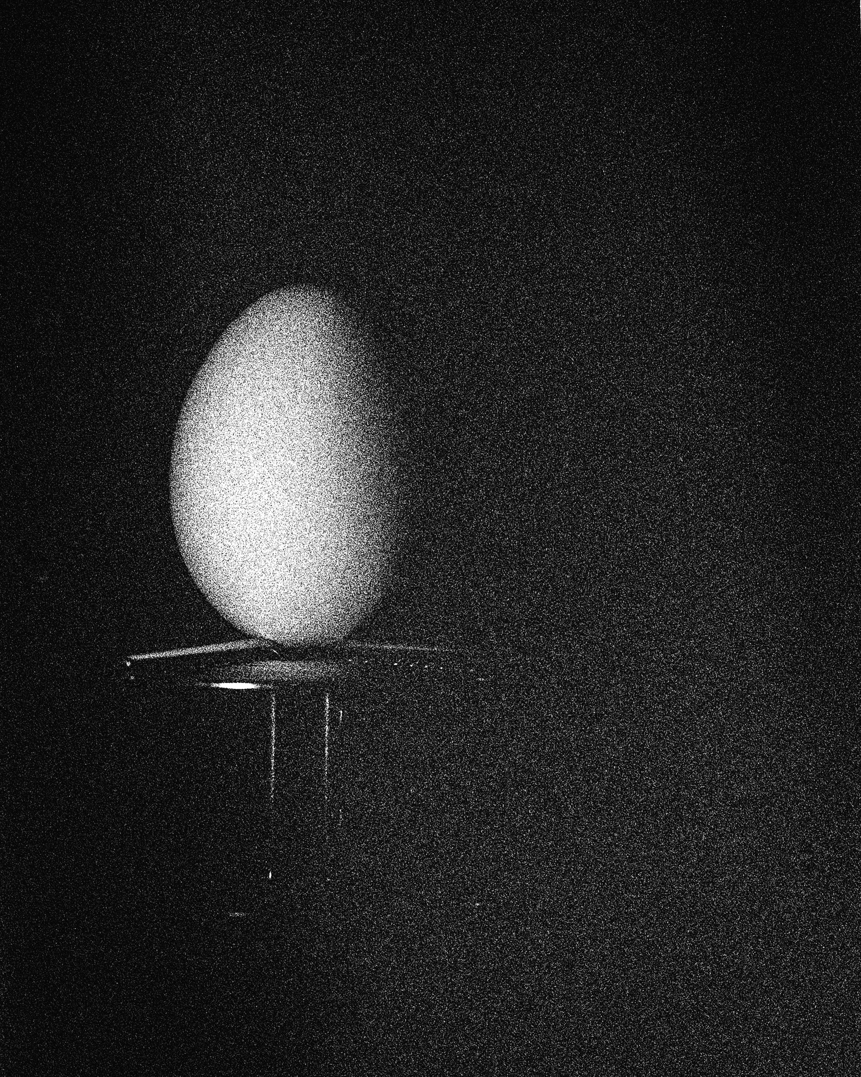 Shine Huang, Egg Study 11 Shine Huang, Egg Study 11