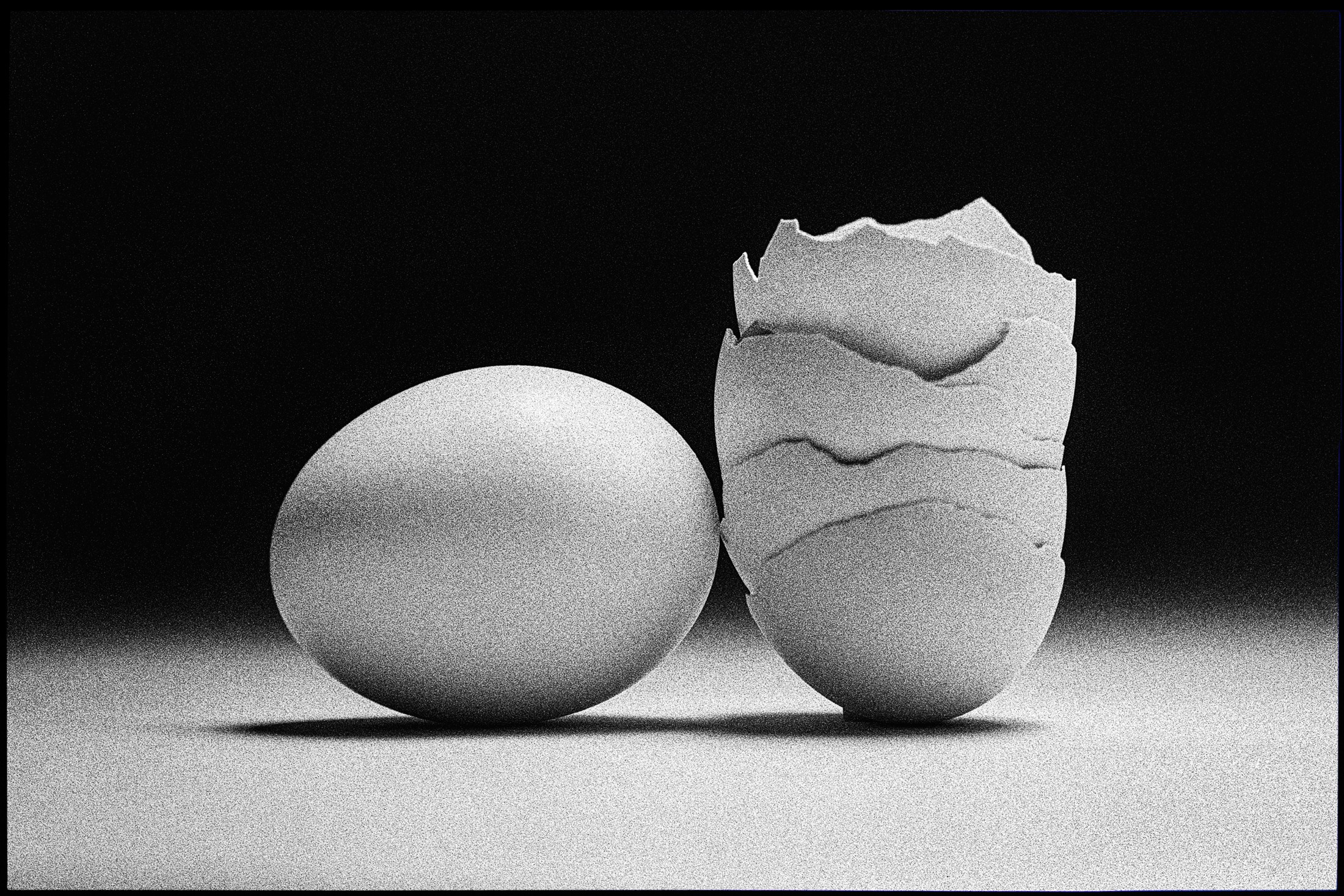 Shine Huang, Egg Study 18 Shine Huang, Egg Study 18