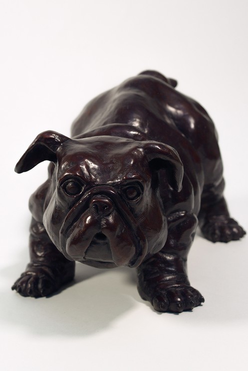 Jean-Michel Pradel-Fraysse, Baby Bull Dog, 