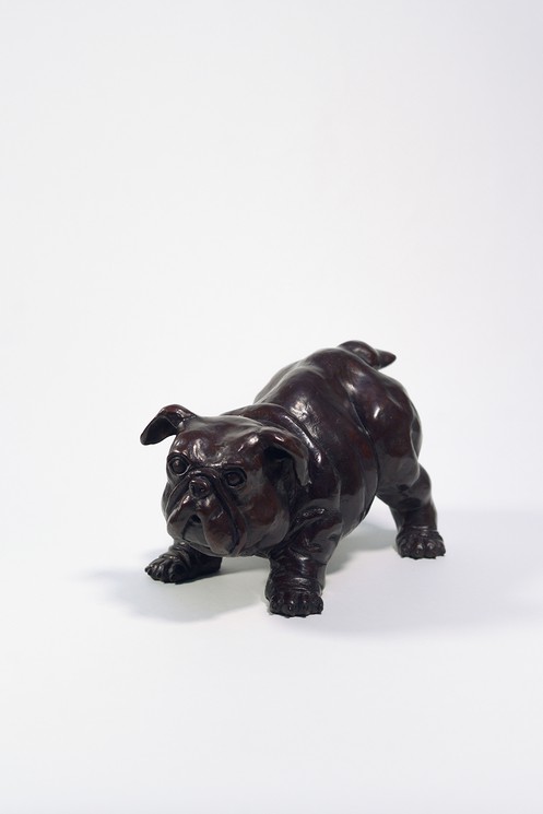 Jean-Michel Pradel-Fraysse, Baby Bull Dog, 