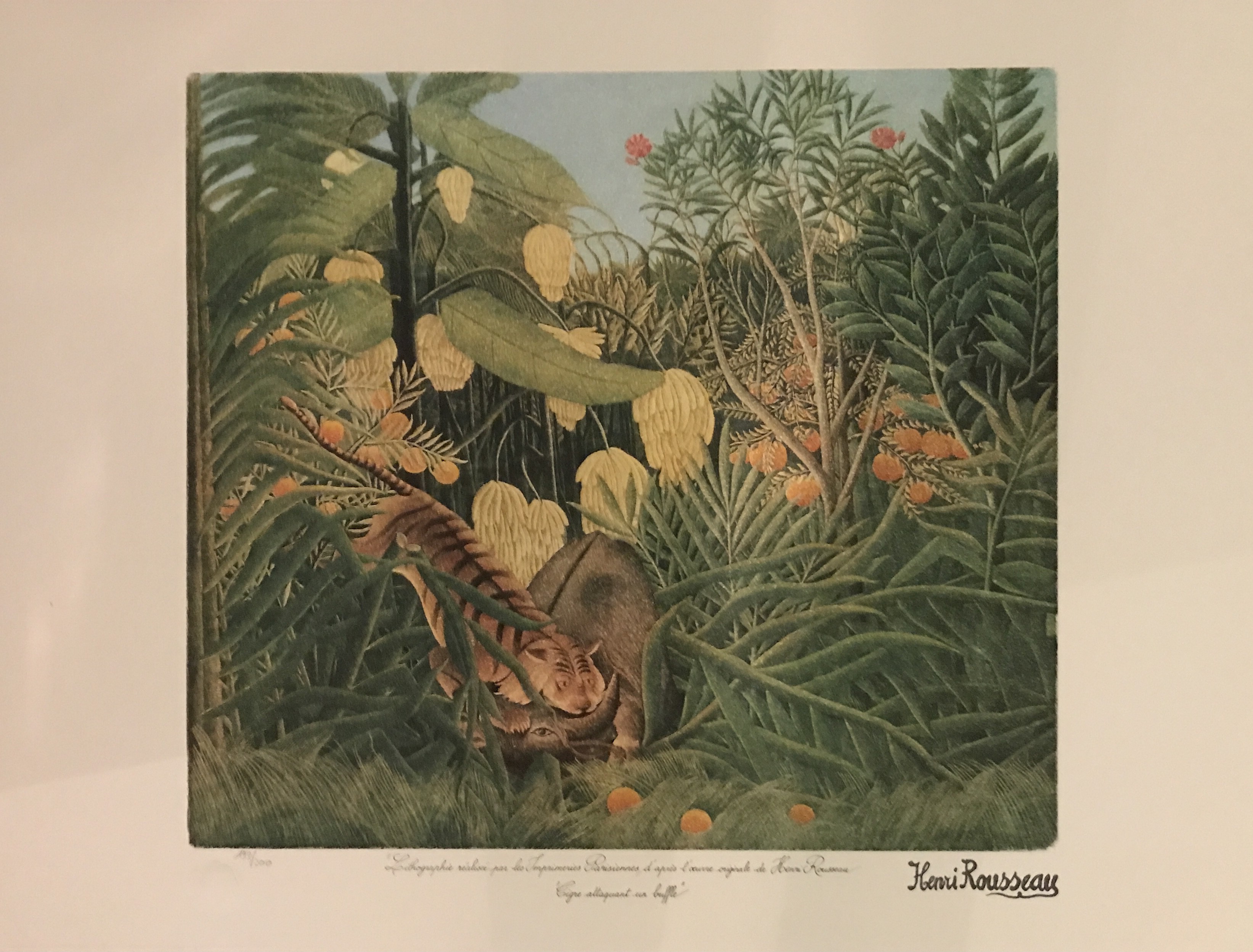 Henri Rousseau dit Le douanier Rousseau, Tigre attaquant un buffle Henri Rousseau dit Le douanier Rousseau, Tigre attaquant un buffle