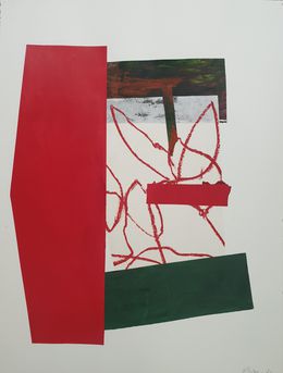 Territoires Colorés #15, Isthme