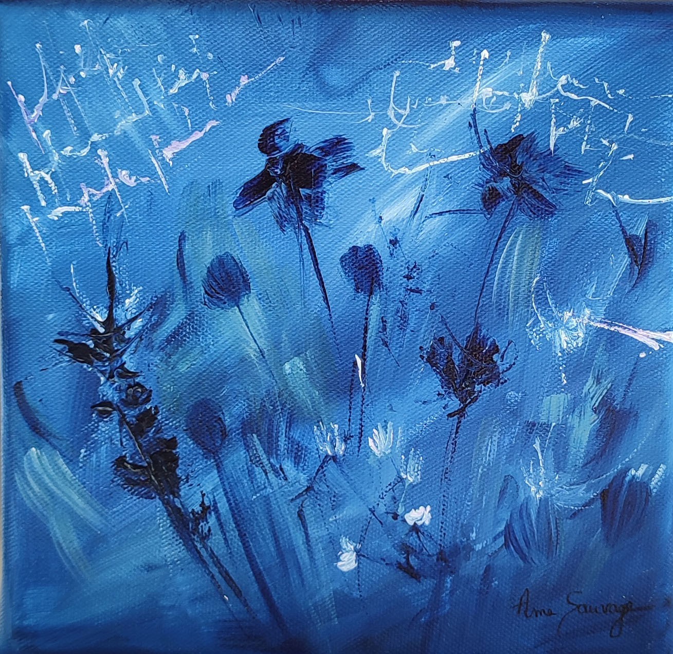 Âme Sauvage, Les fleurs nocturnes Âme Sauvage, Les fleurs nocturnes
