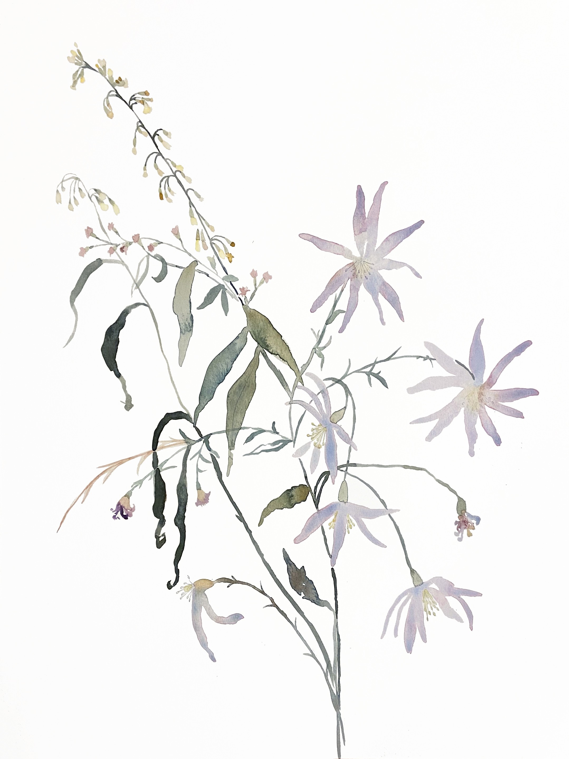 Elizabeth Becker, Meadow Study No. 5 Elizabeth Becker, Meadow Study No. 5
