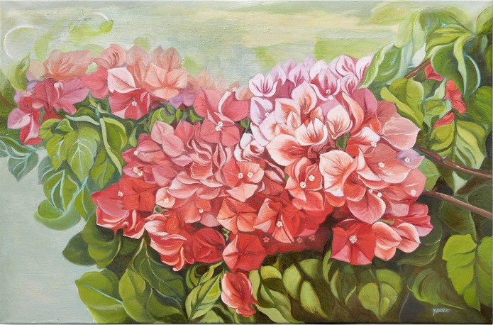Mercedes Aparicio, Bougainvilliers Mercedes Aparicio, Bougainvilliers