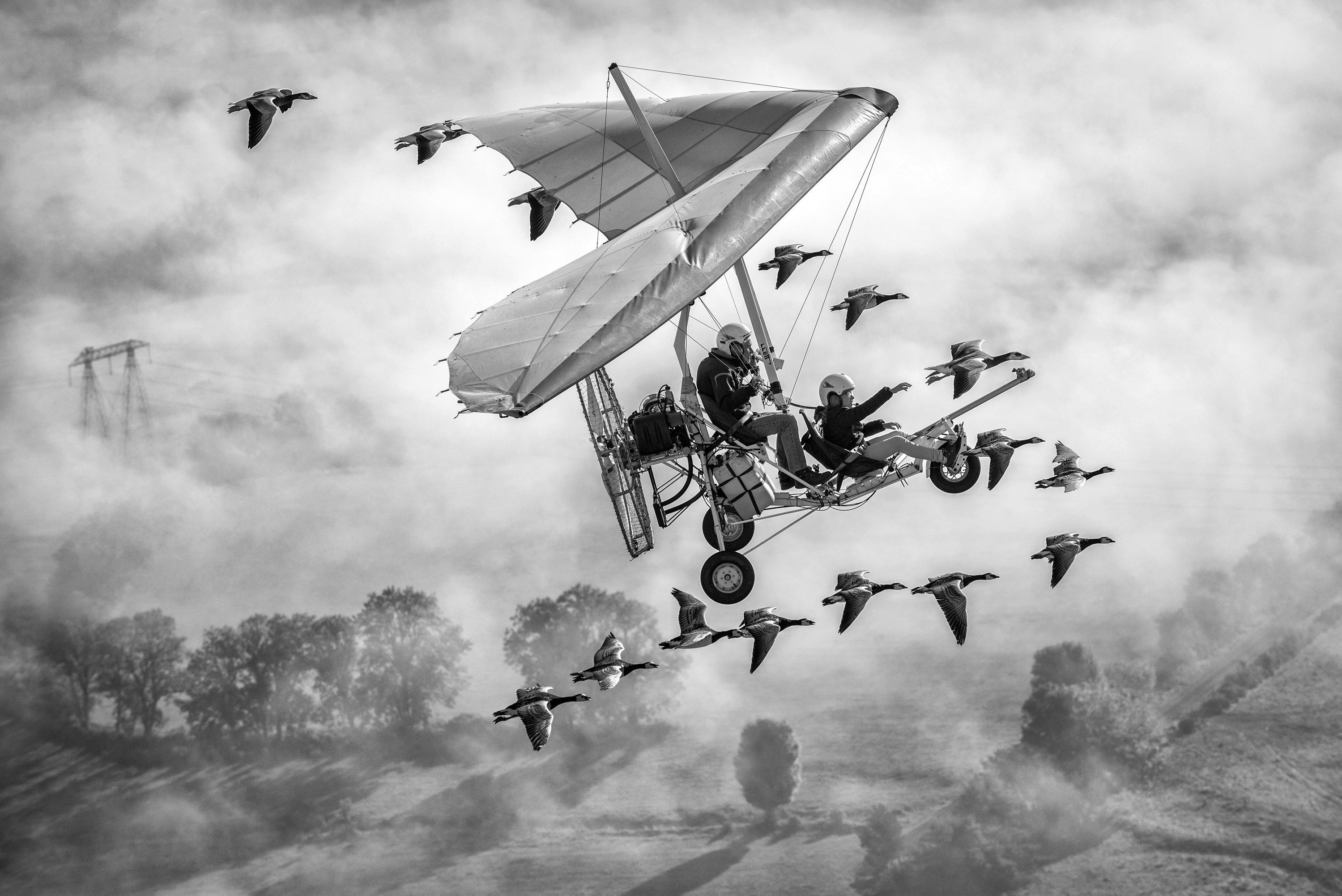 Fabrice Dimier, L.In the sky with gooses Fabrice Dimier, L.In the sky with gooses