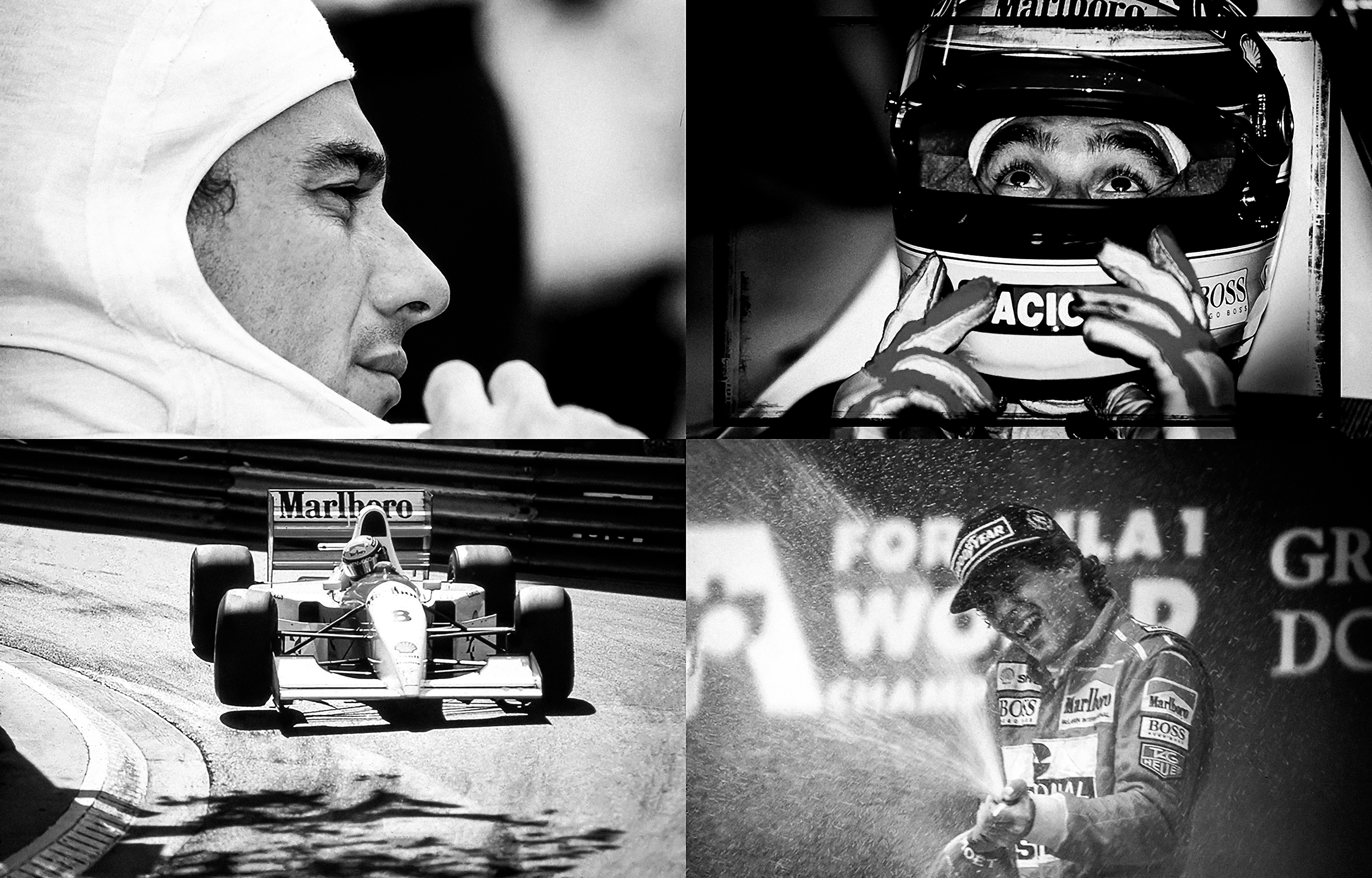 Dominique Leroy, Ayrton Senna dans ses œuvres Dominique Leroy, Ayrton Senna dans ses œuvres