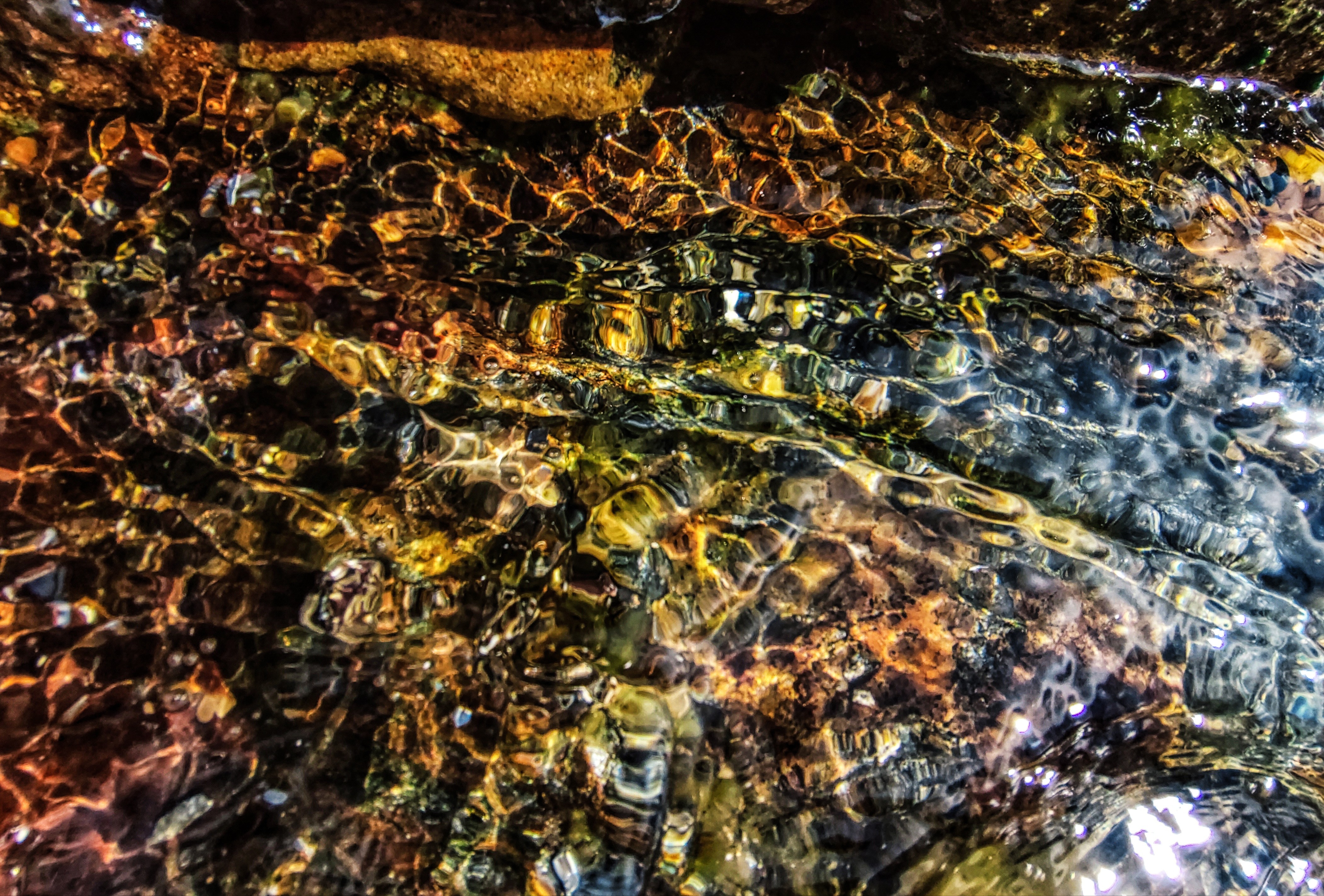 Dominique Leroy, Reflet cristallin. Cap Corse Dominique Leroy, Reflet cristallin. Cap Corse
