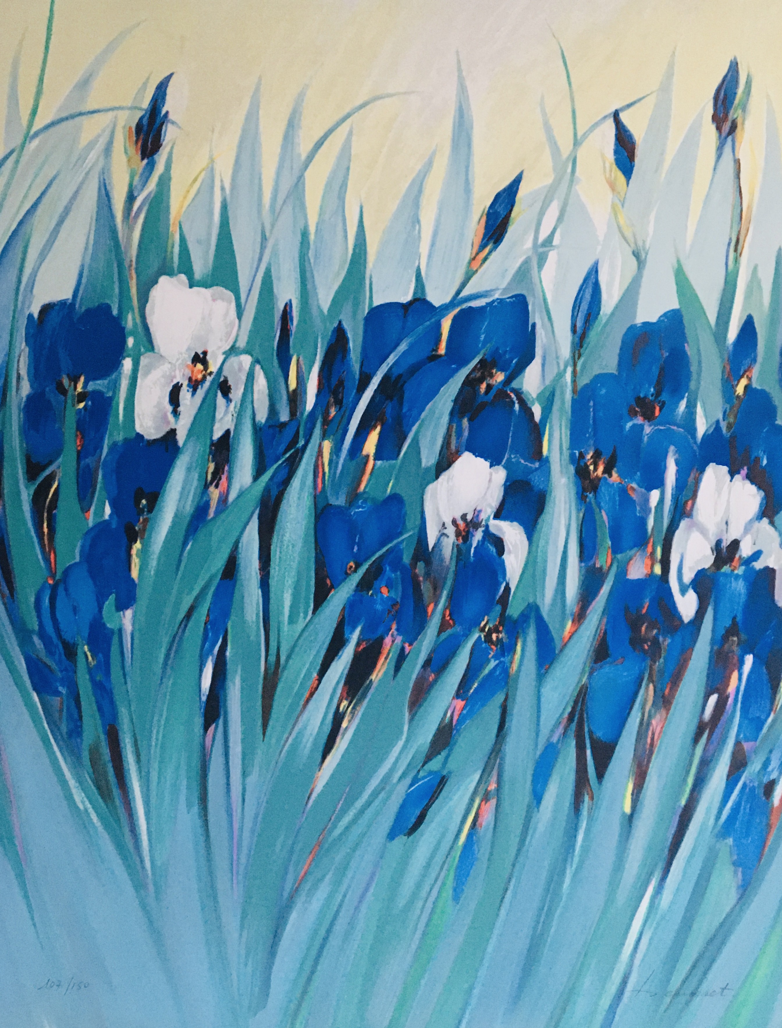 Claude Hemeret, Les iris Claude Hemeret, Les iris