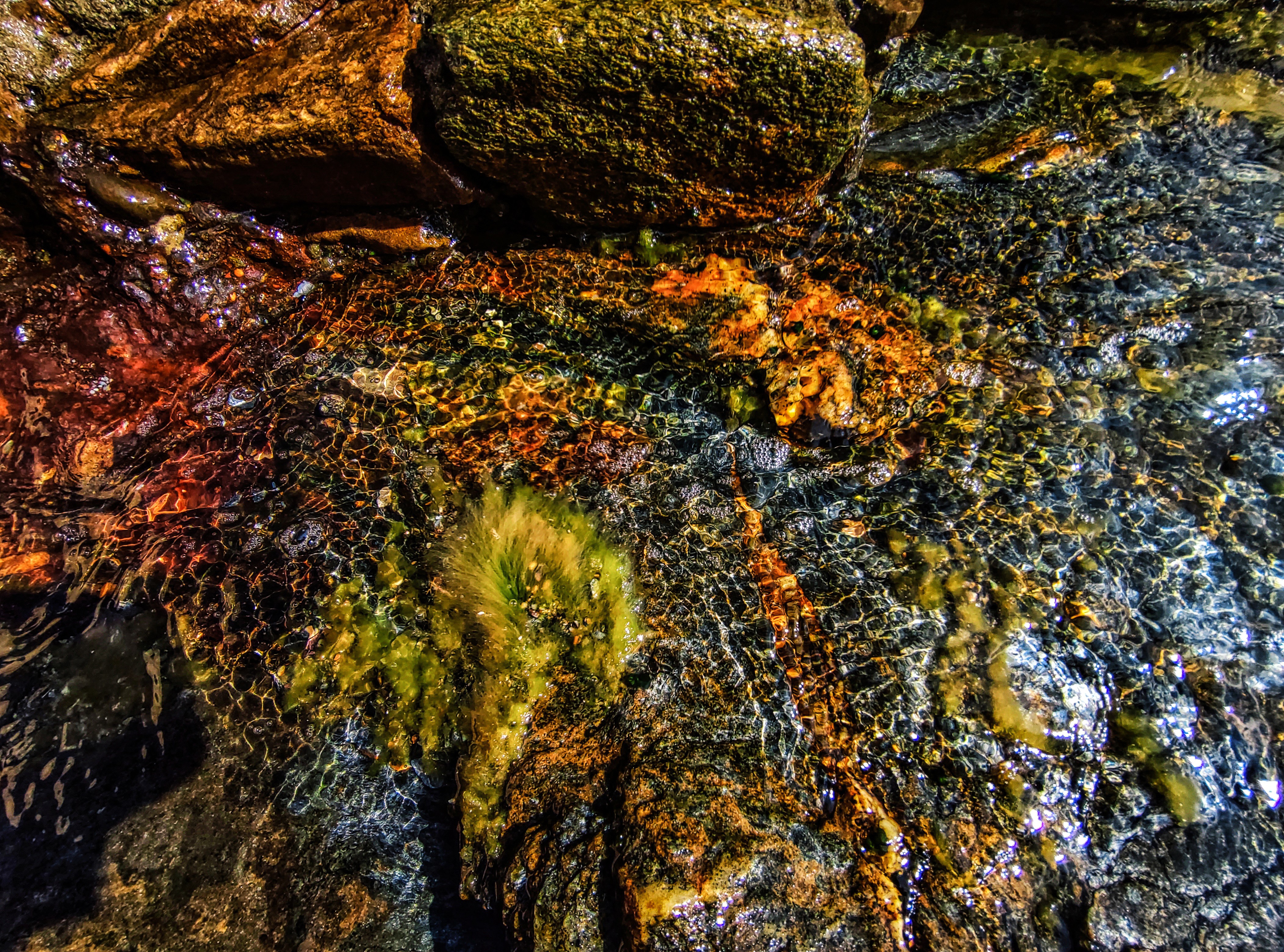 Dominique Leroy, Eau cristalline de Corse Dominique Leroy, Eau cristalline de Corse