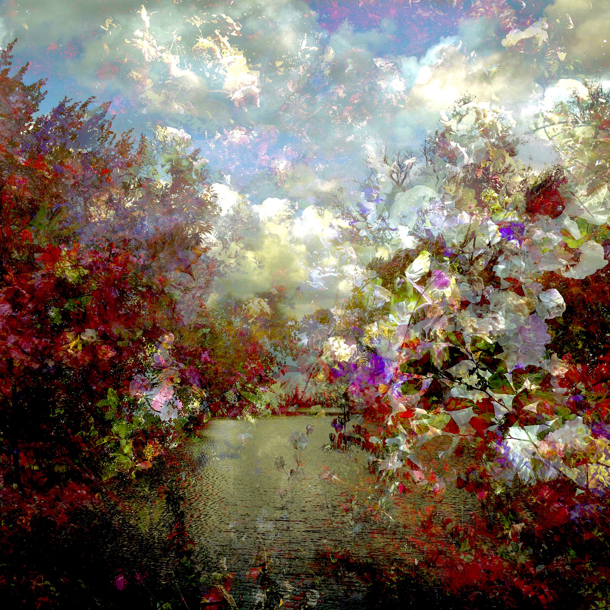 Didier Claes, Fragment de Paysage 0071 Didier Claes, Fragment de Paysage 0071