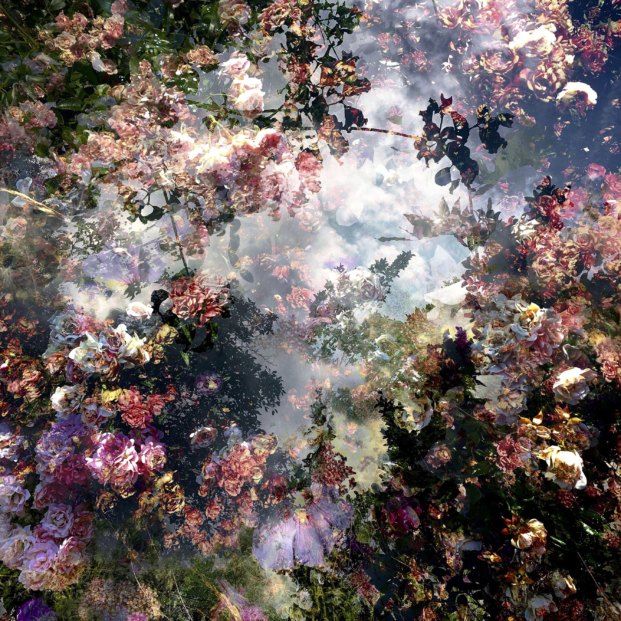 Didier Claes, Fragment de Paysage 0449 Didier Claes, Fragment de Paysage 0449