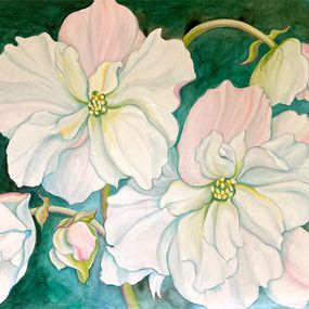 Painting, White Begonias, Kathleen Ney
