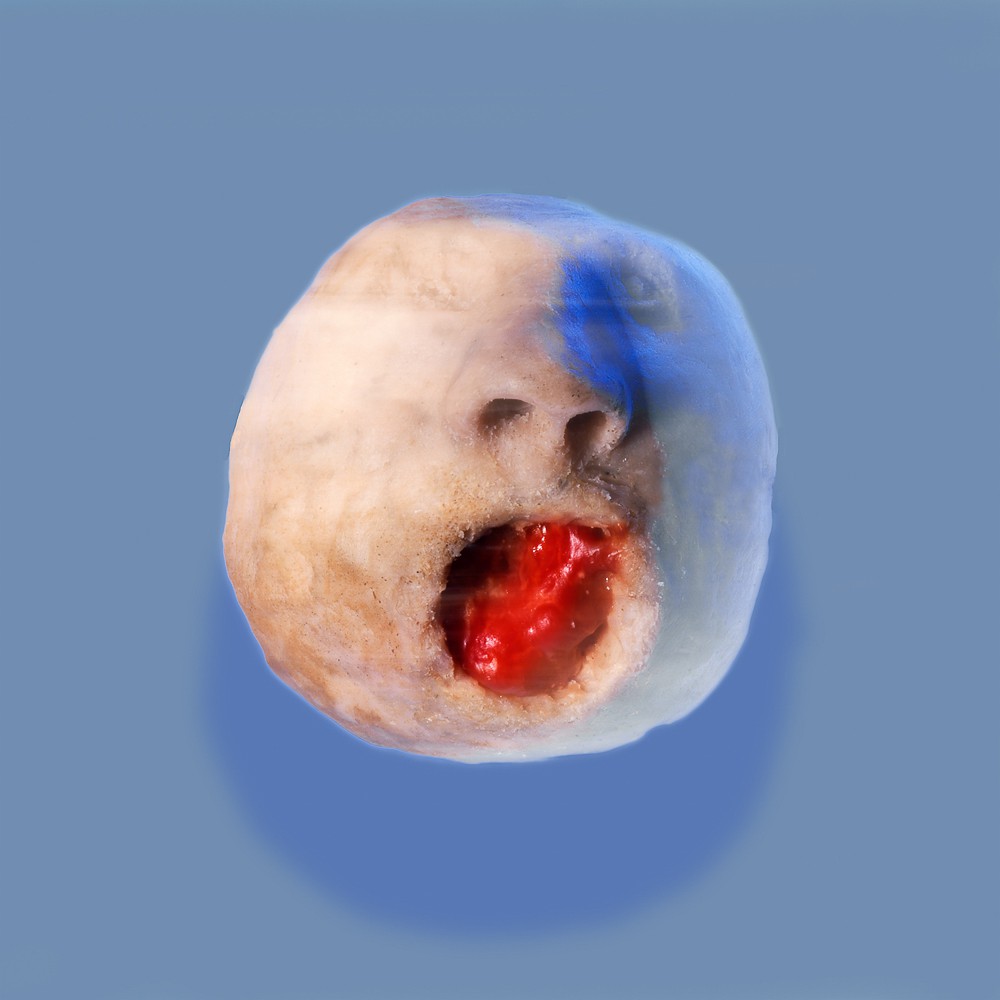 David Lynch, Chicken Head Blue #1 David Lynch, Chicken Head Blue #1