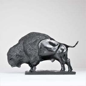 Bison américain, Bastien Bonhomme
