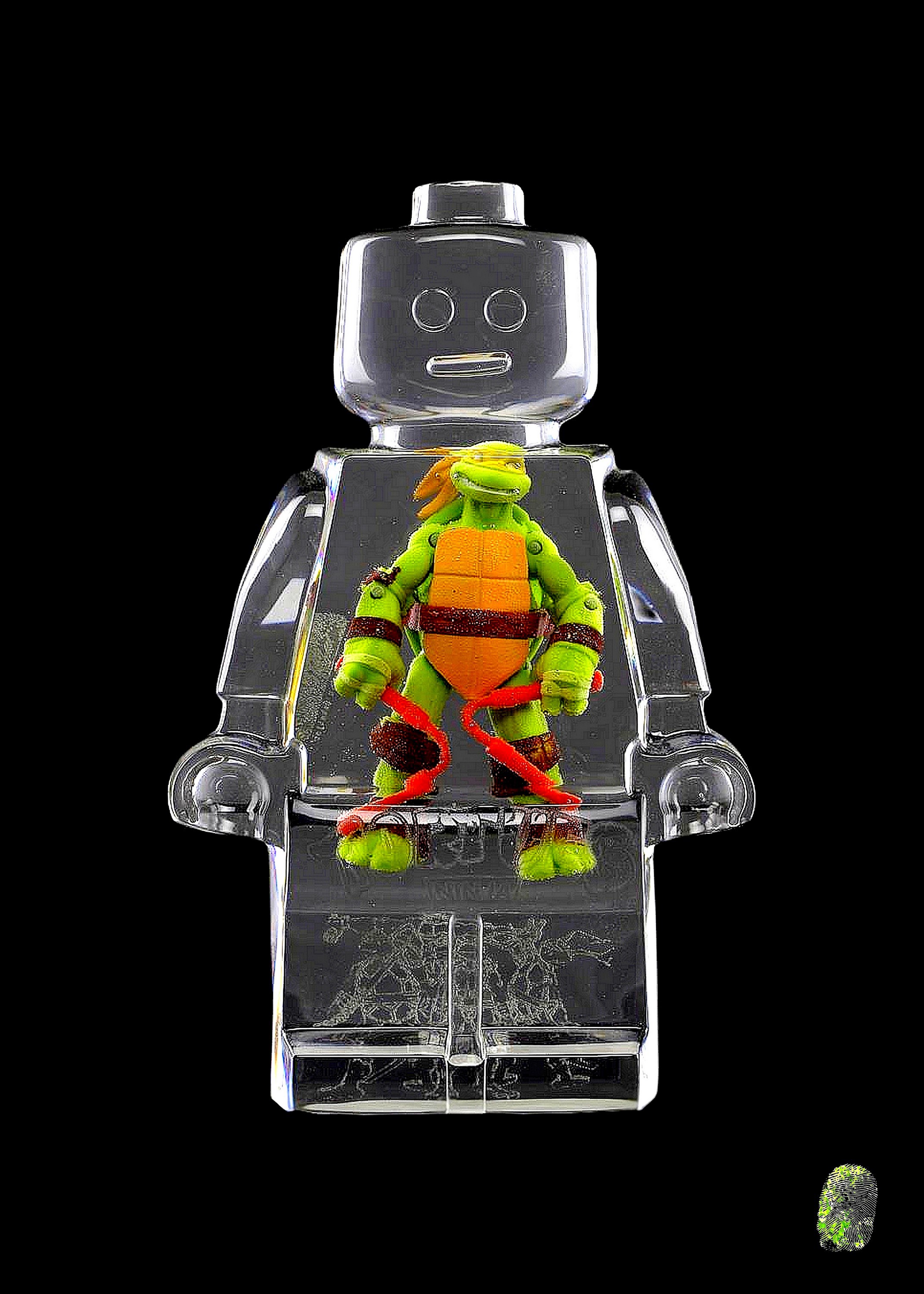 Vincent Sabatier, Ninja Turtle Vincent Sabatier, Ninja Turtle