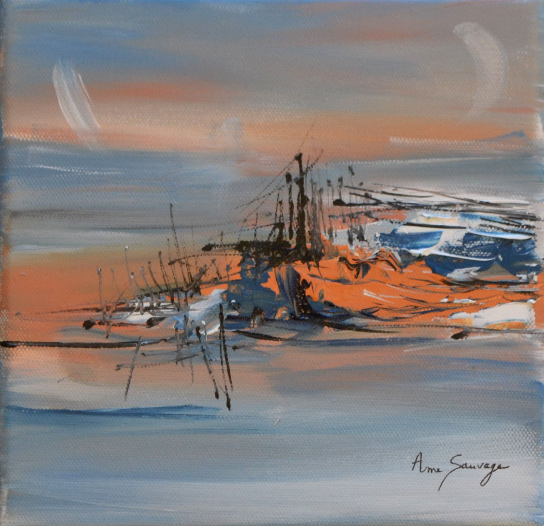 Âme Sauvage, Seul sur l'île Âme Sauvage, Seul sur l'île