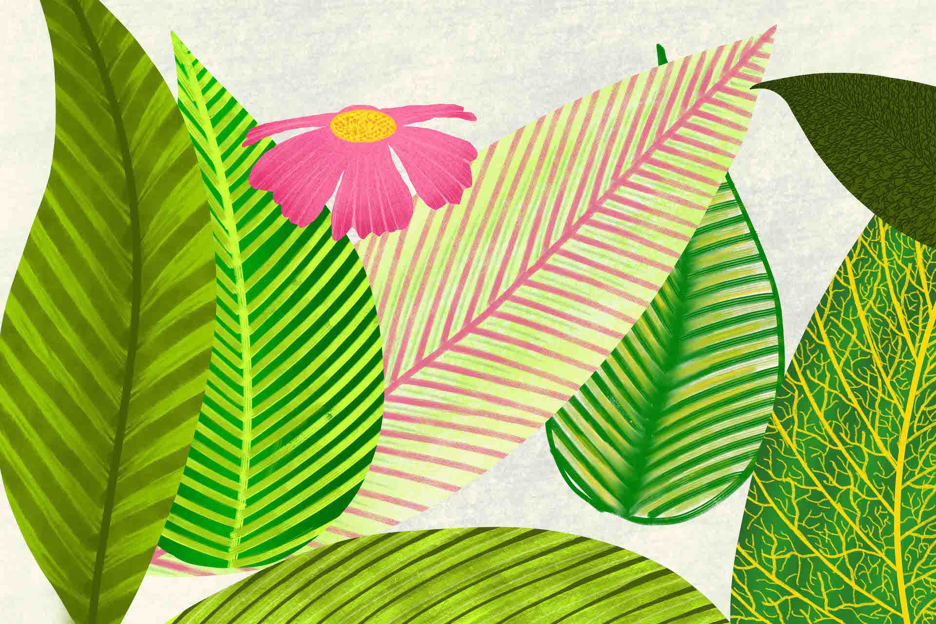 Sumit Mehndiratta, Leafology 1 Sumit Mehndiratta, Leafology 1