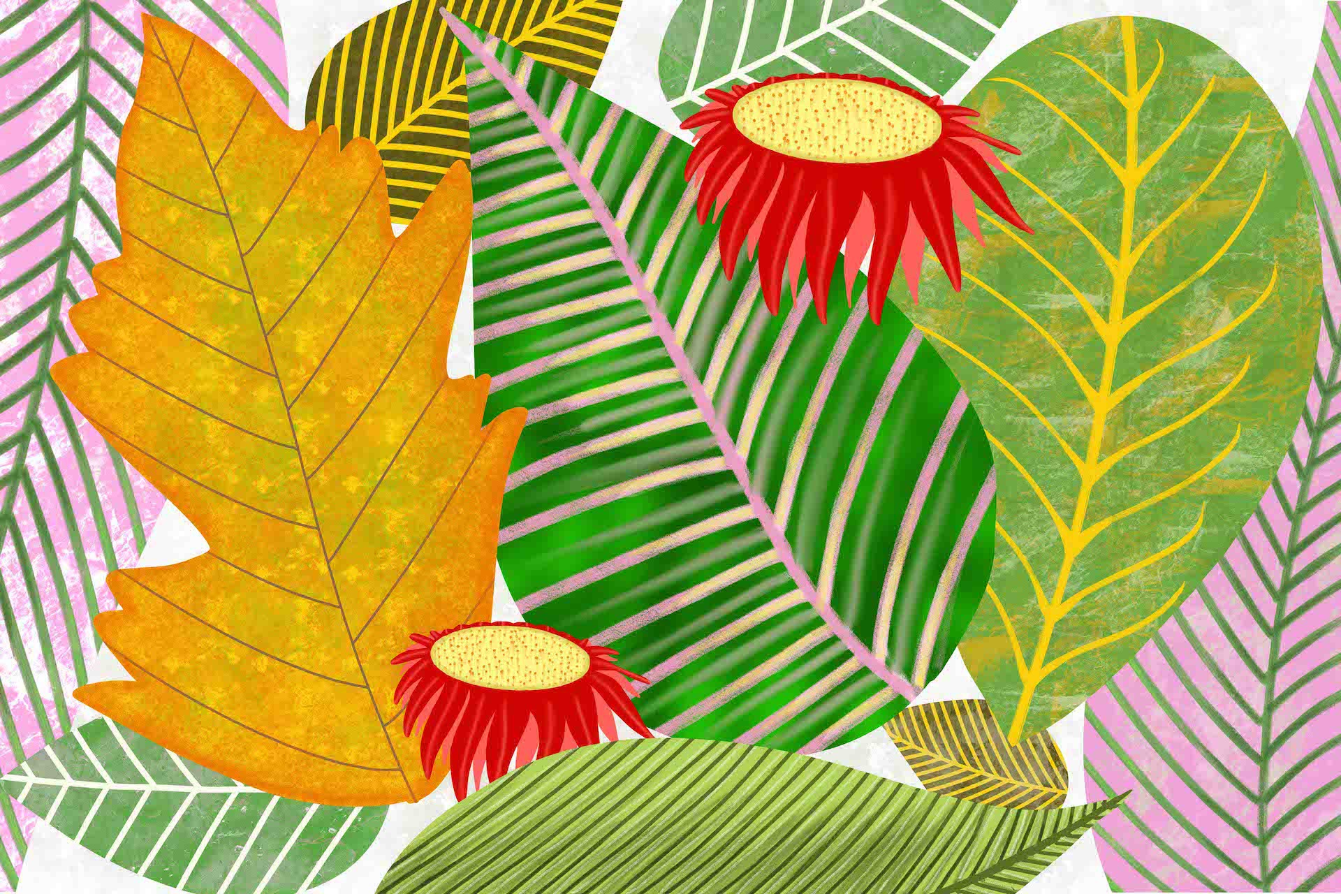 Sumit Mehndiratta, Leafology 2 Sumit Mehndiratta, Leafology 2