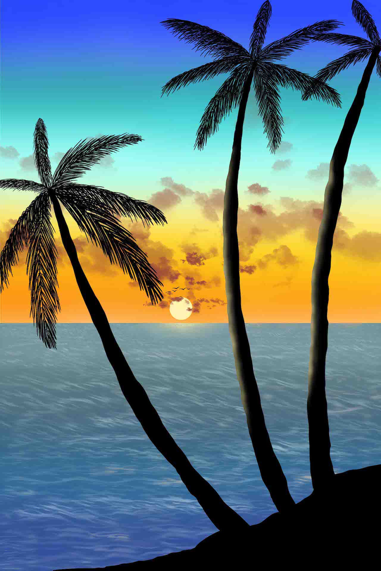 Sumit Mehndiratta, Palm Trees Sumit Mehndiratta, Palm Trees
