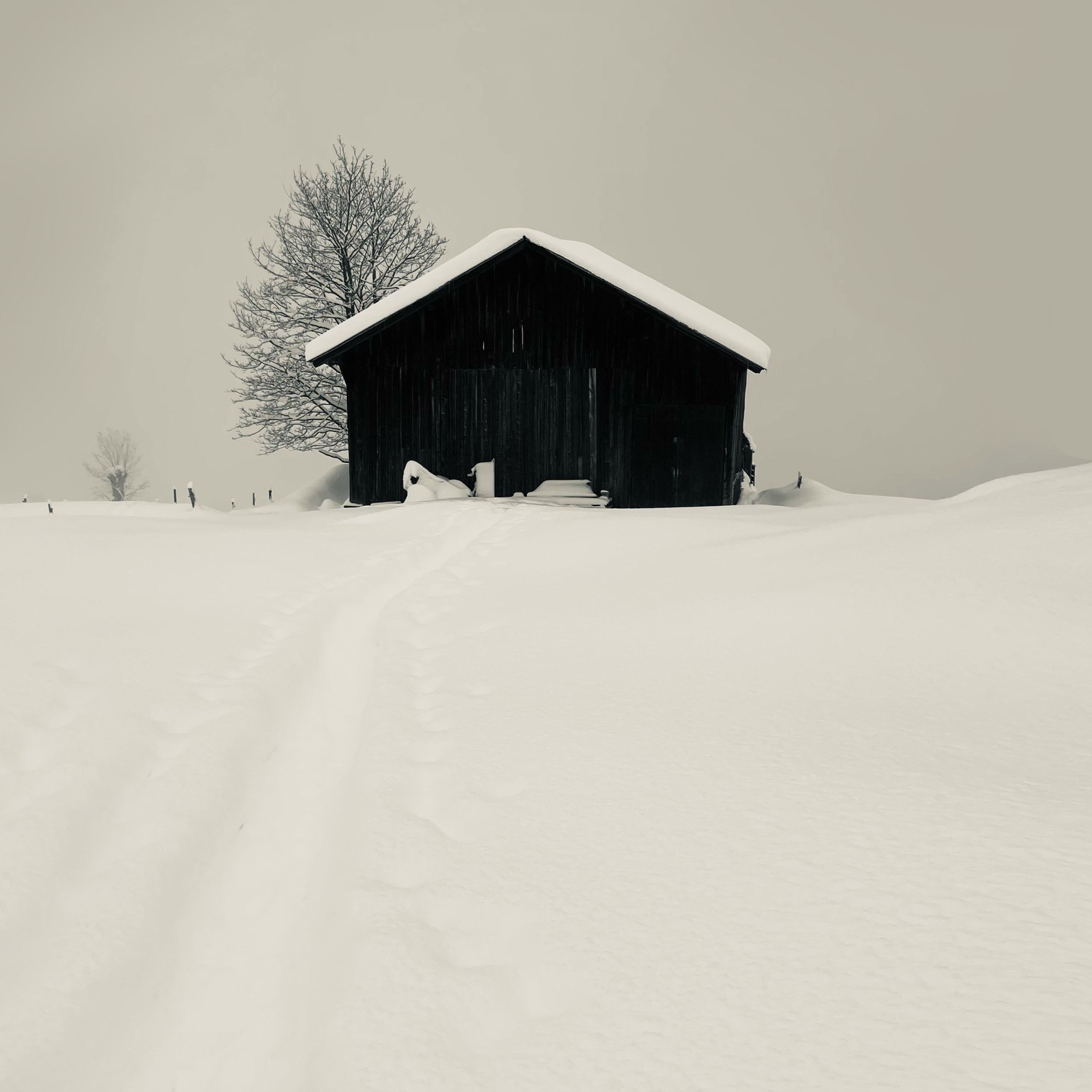 Adrianna MJW, Photographie fine art - Alpage à Megève : paysage enneigée hivernal minimaliste Adrianna MJW, Photographie fine art - Alpage à Megève : paysage enneigée hivernal minimaliste