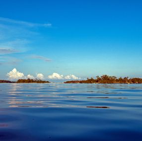 Fotografía, Aquatic Peace in Paradise, Anthony Horth