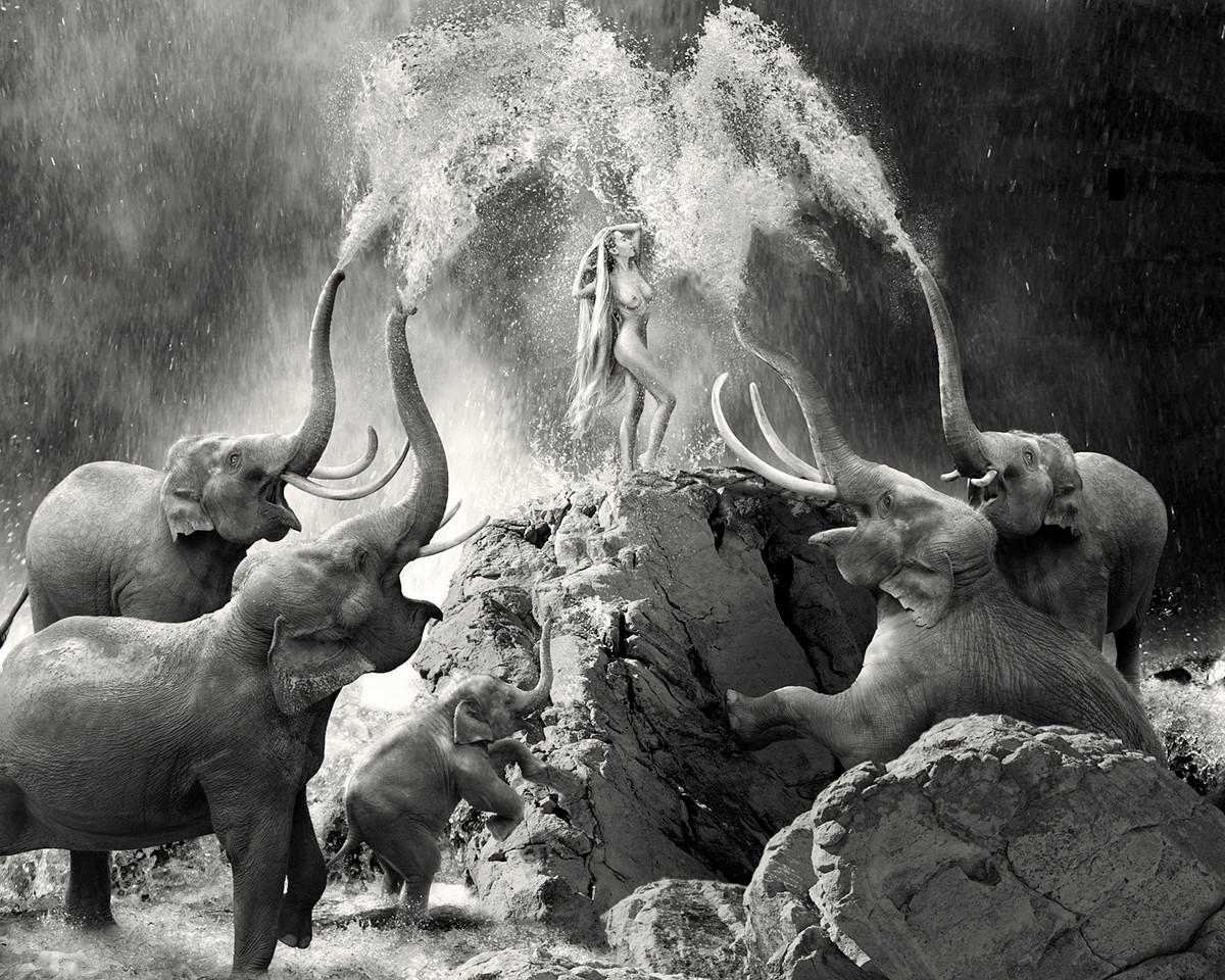 Cheraine Collette, Fountain of Life Cheraine Collette, Fountain of Life
