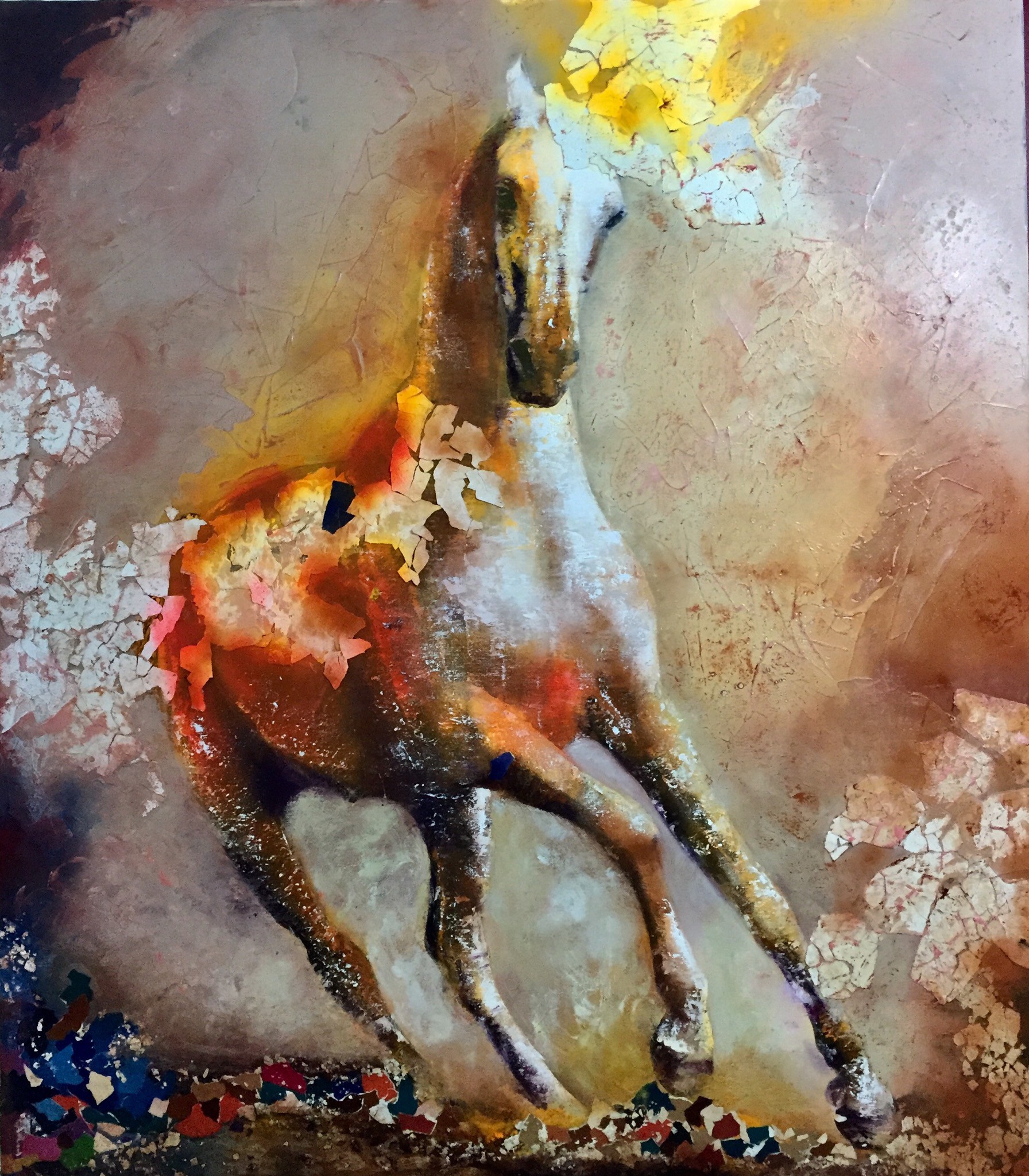 Sana Hichri, Cheval Sana Hichri, Cheval
