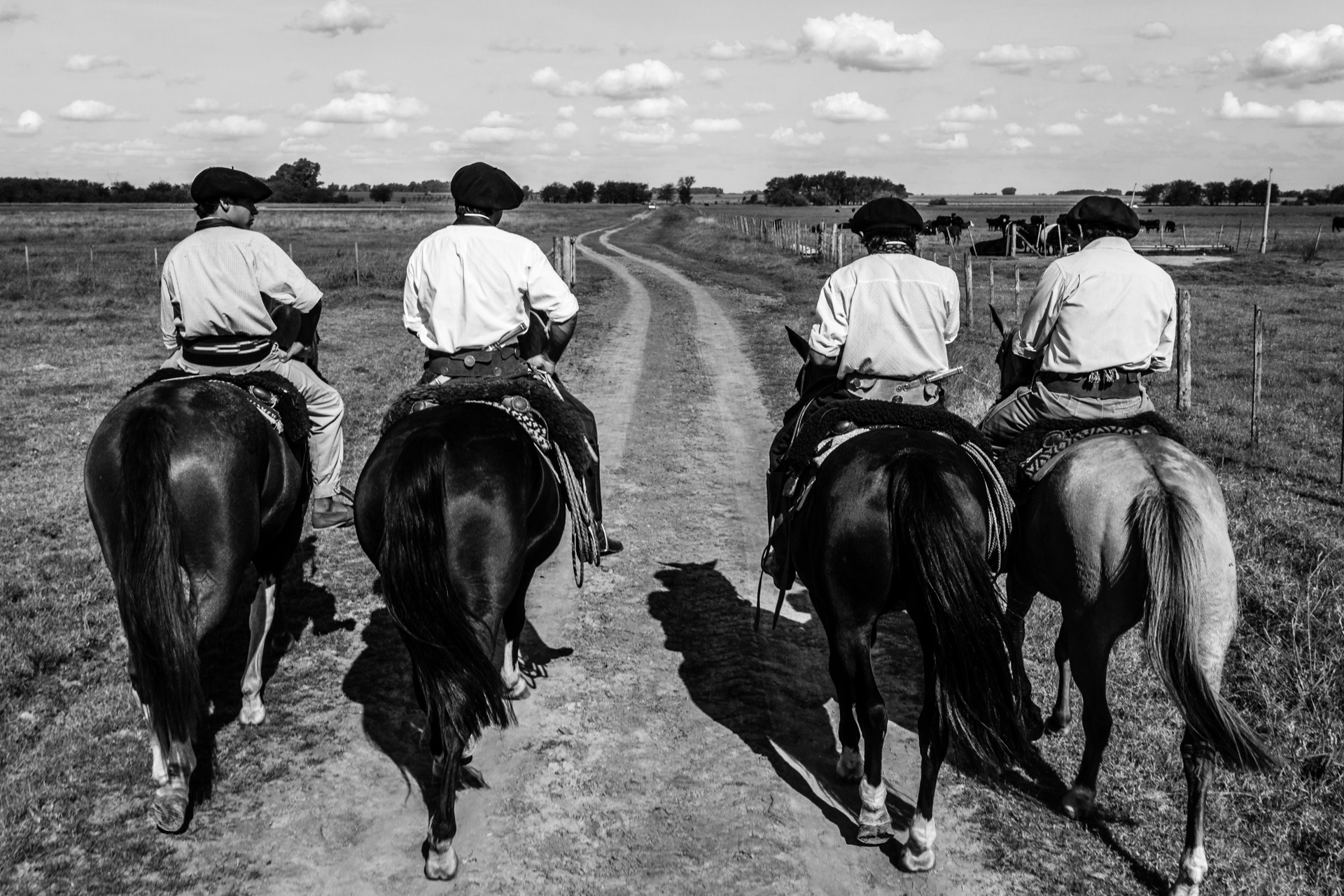 Géraldine Rué, Gauchos à cheval dans la pampa Géraldine Rué, Gauchos à cheval dans la pampa