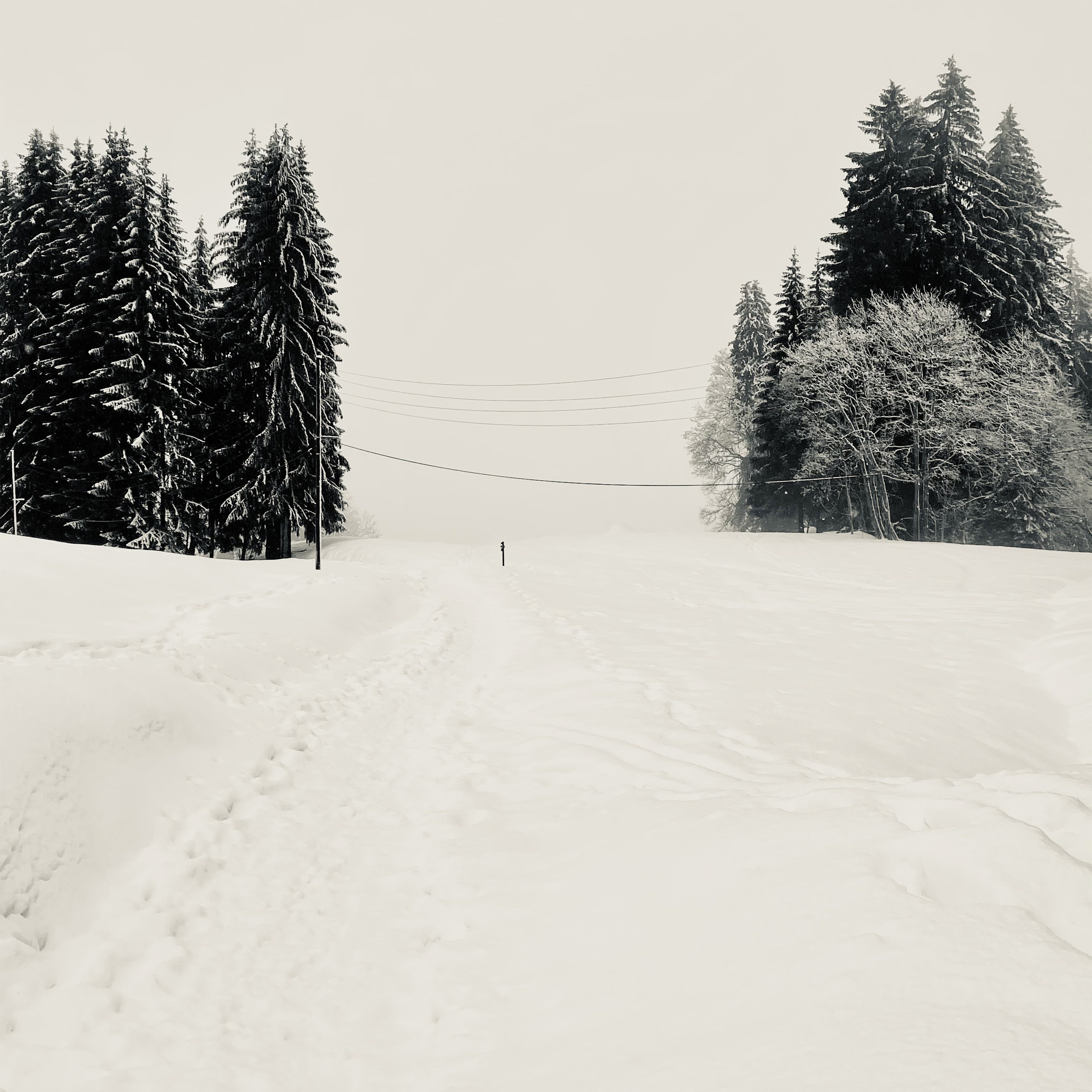 Adrianna MJW, Chemin d hiver Adrianna MJW, Chemin d hiver