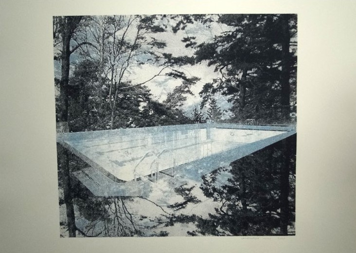 Marie Vandooren, Piscine végétale Marie Vandooren, Piscine végétale